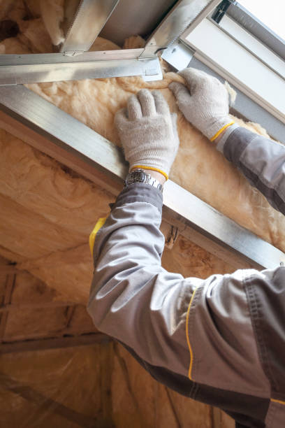 Best Cellulose Insulation in Fredonia, NY