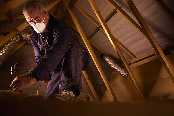 Best Geographic-Specific Insulation Services in Fredonia, NY