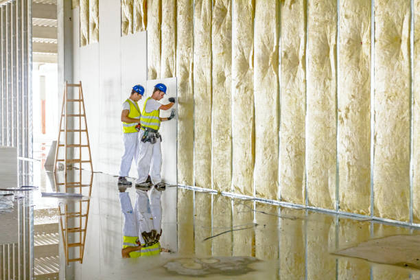 Best Commercial Insulation in Fredonia, NY